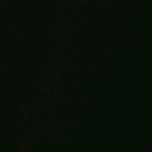 Meet your Posher, Rey